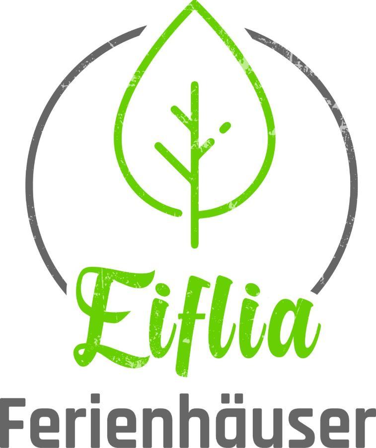 Eiflia- Im Warchetal Villa Bullange Exterior photo